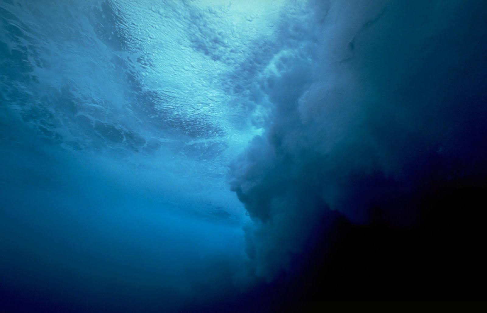 Beneath the Waves: How Hurricanes Unleash Chaos on Sea Life
